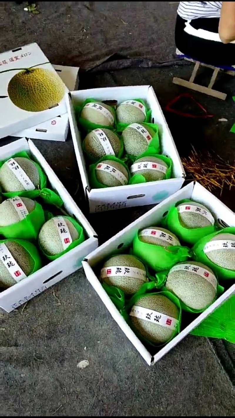 久红瑞，西周密17，雅典，南海蜜大量现货，欢迎全国各地客