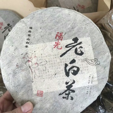 福鼎白茶茶饼