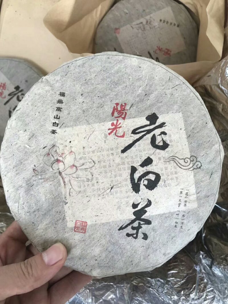 福鼎白茶茶饼