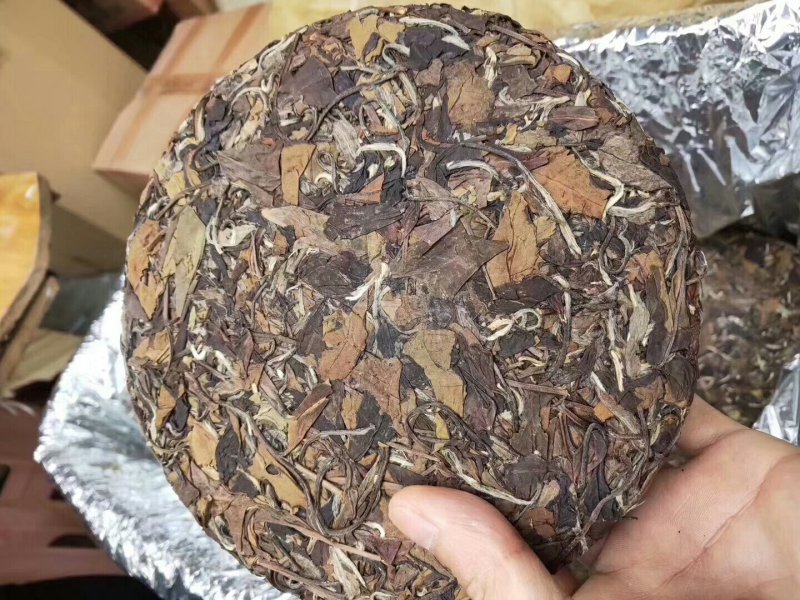 福鼎白茶茶饼