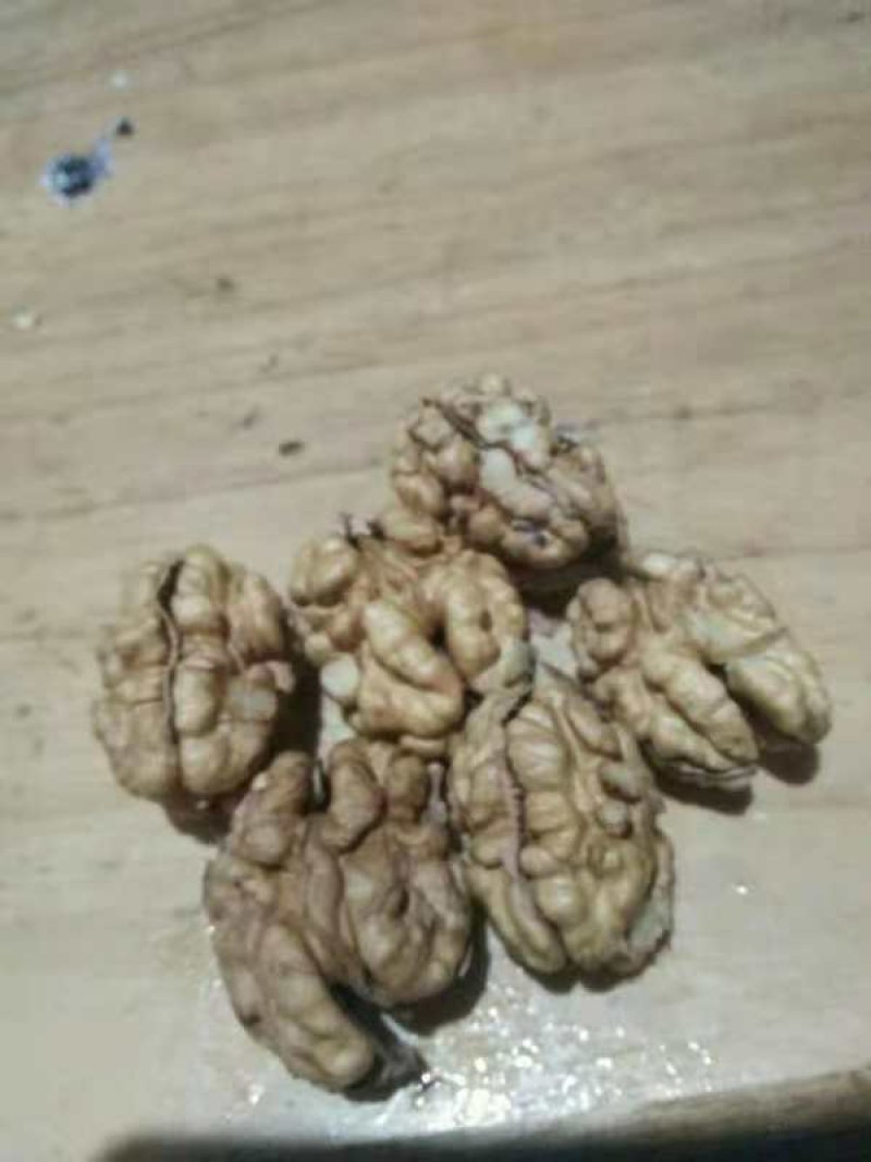 薄皮核桃30以上产地直发，一手货源。大量供应