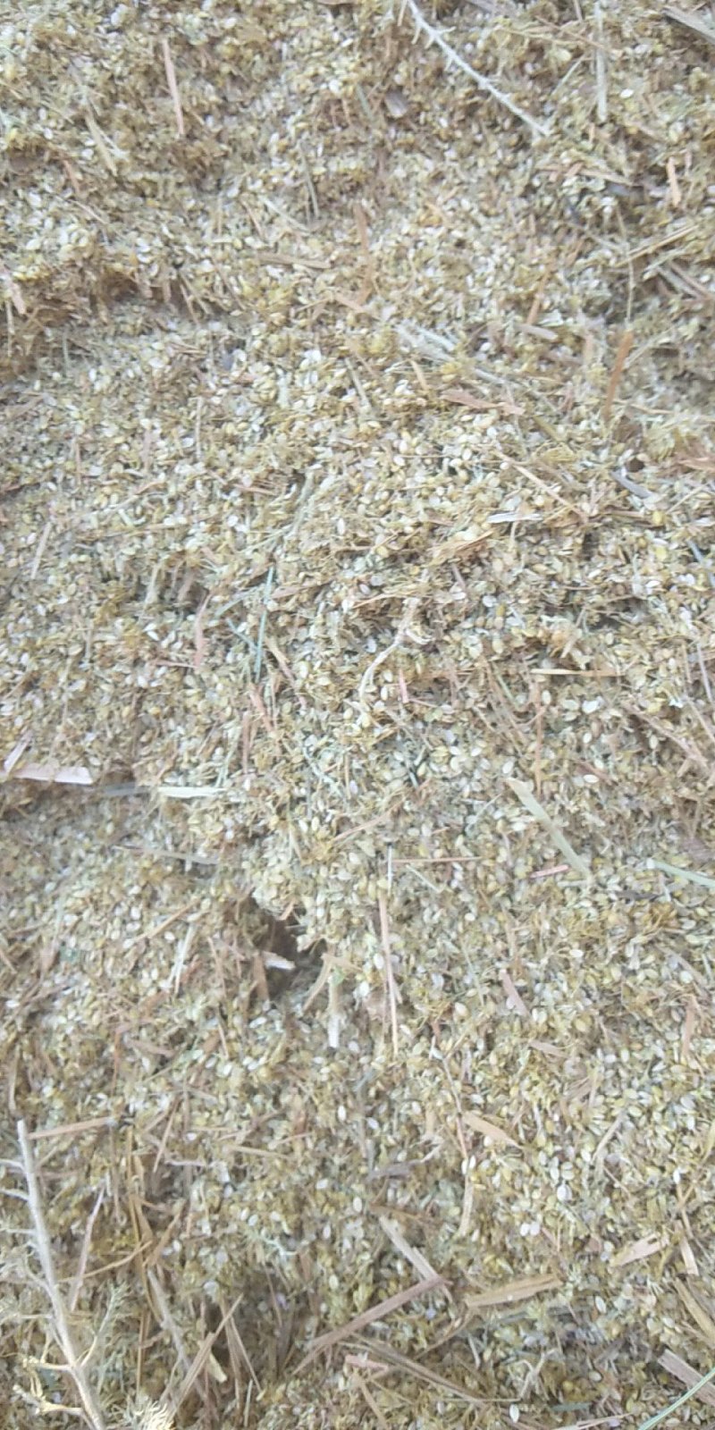 谷糠