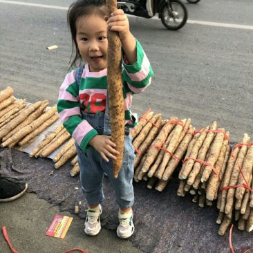 山药