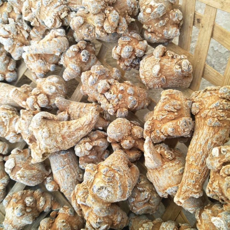长期供应三七粉三七花三七头