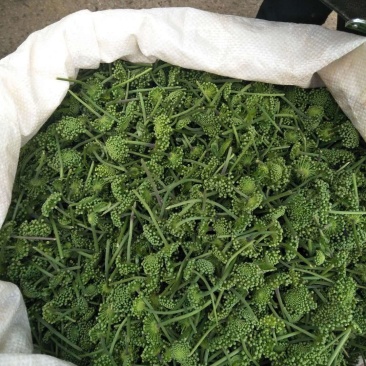 长期供应三七粉三七花三七头