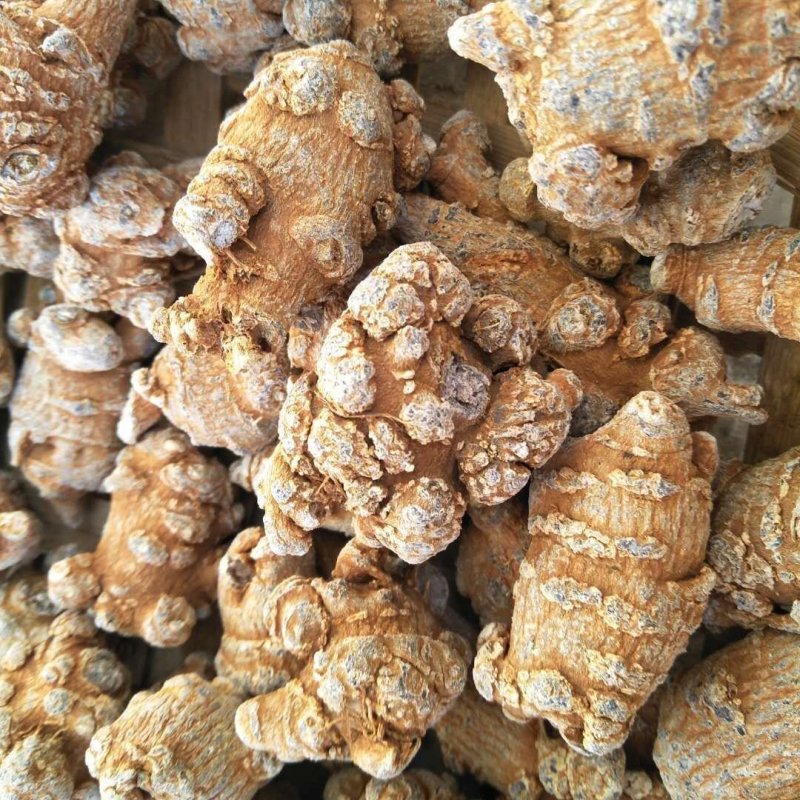 长期供应三七粉三七花三七头