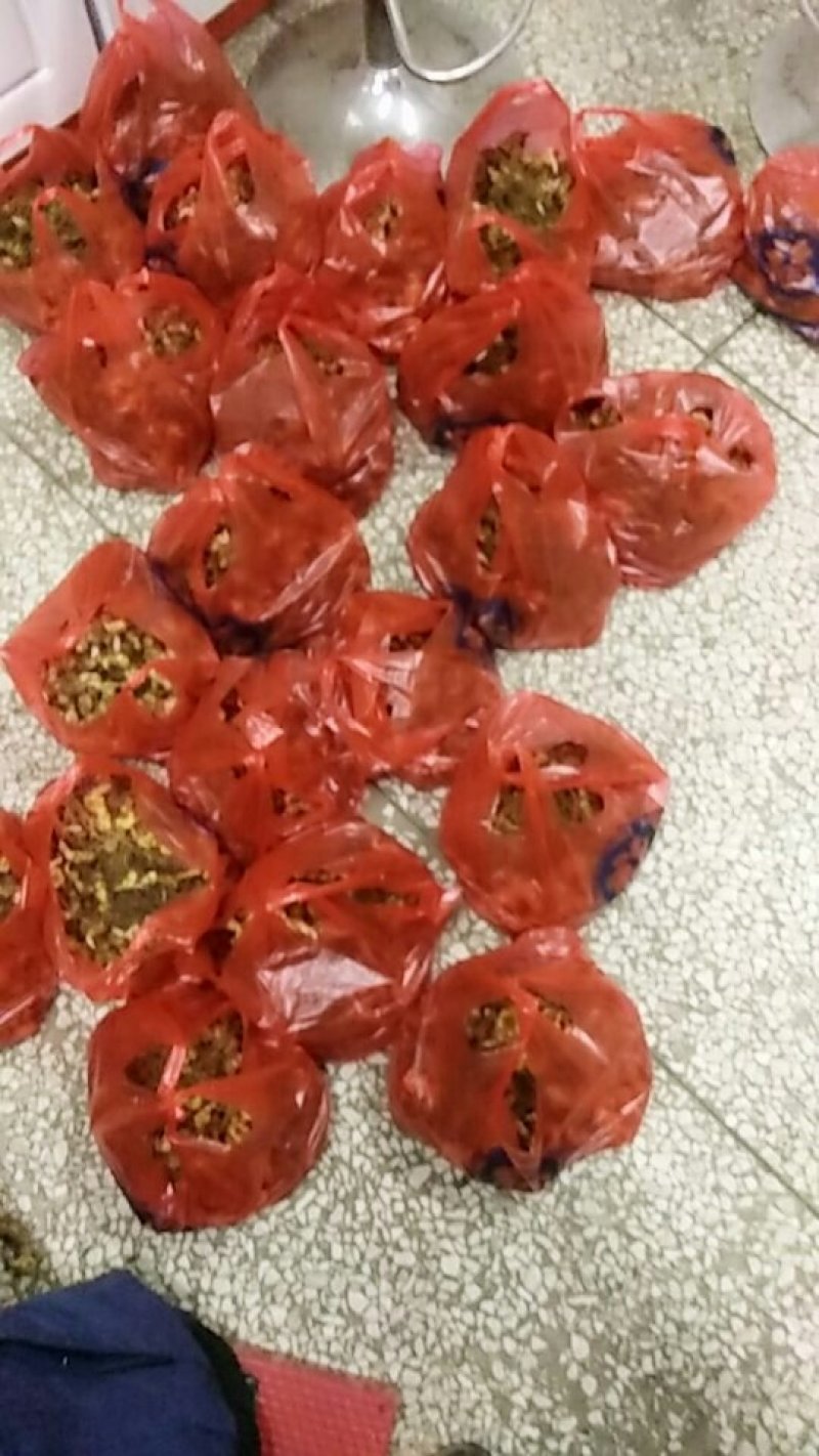 黄精种苗姜形多花黄精苗基地直发欢迎新老客户选购