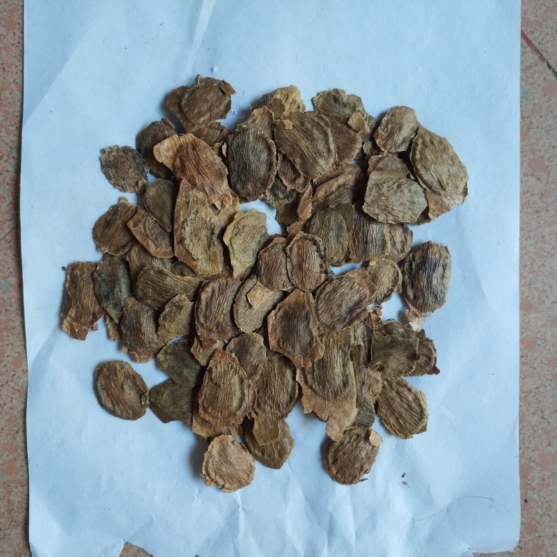 黄花梨种子，降香黄檀种子