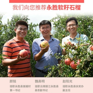 734白萝卜