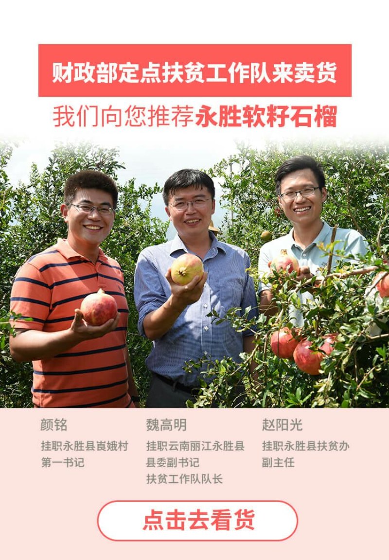734白萝卜