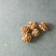 纸皮核桃果园直采一手货源质量有保证