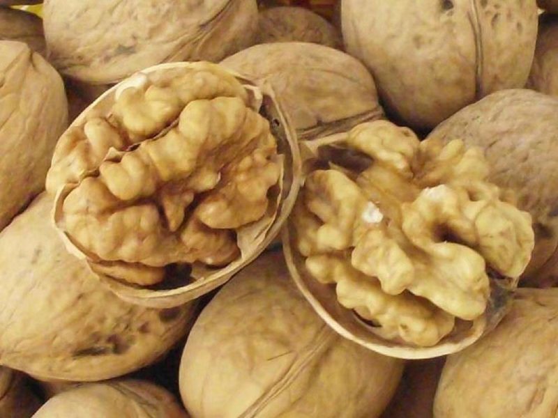 纸皮核桃果园直采一手货源质量有保证