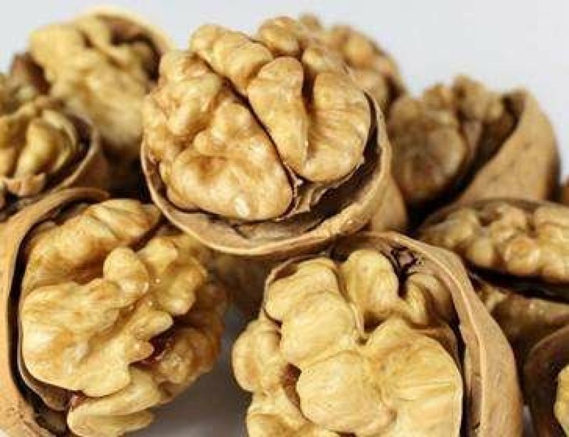 薄皮核桃30以上当年新货高质量，，大量供应，
