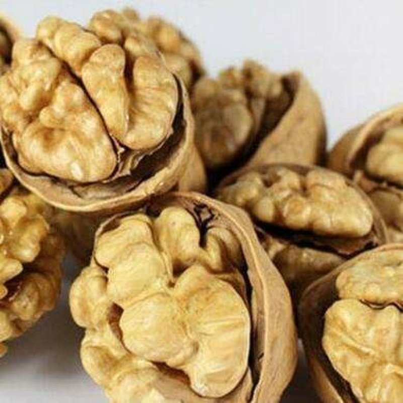 薄皮核桃30以上当年新货高质量，，大量供应，