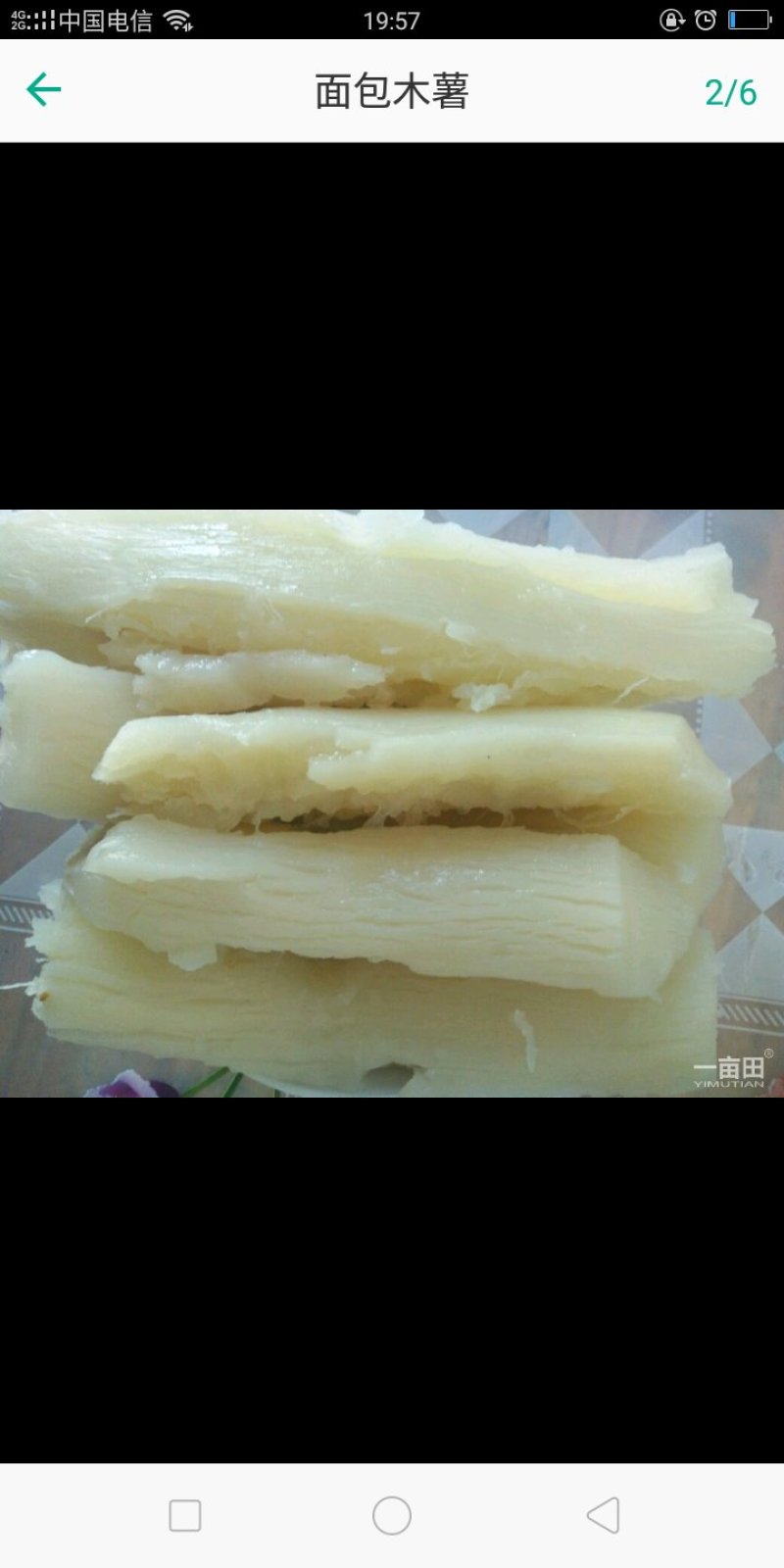 2面包木薯