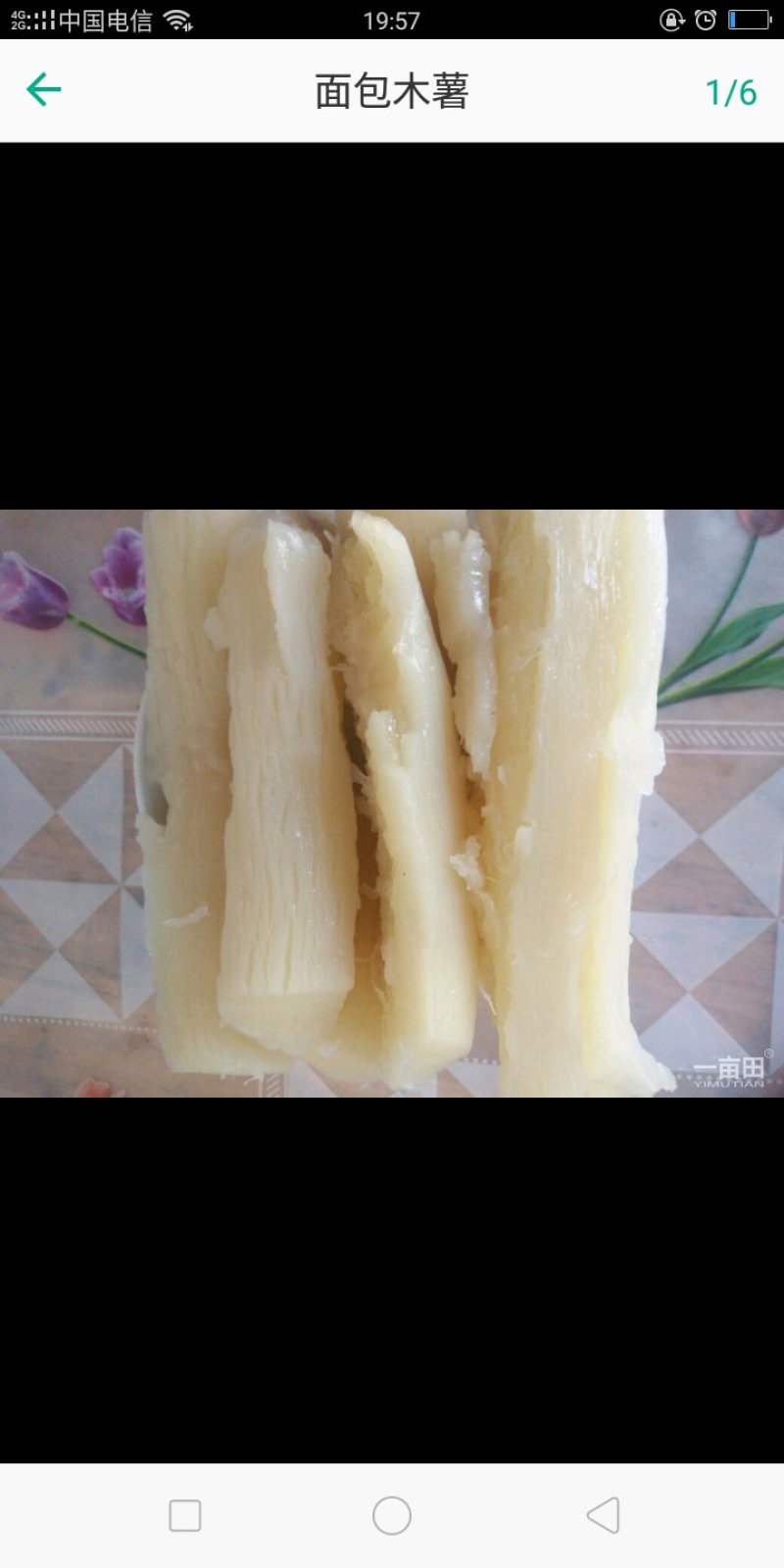 2面包木薯
