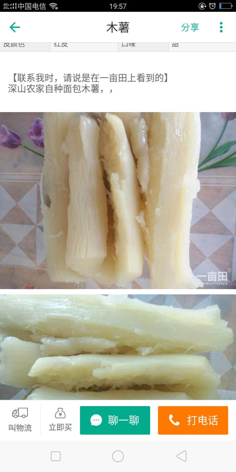 2面包木薯