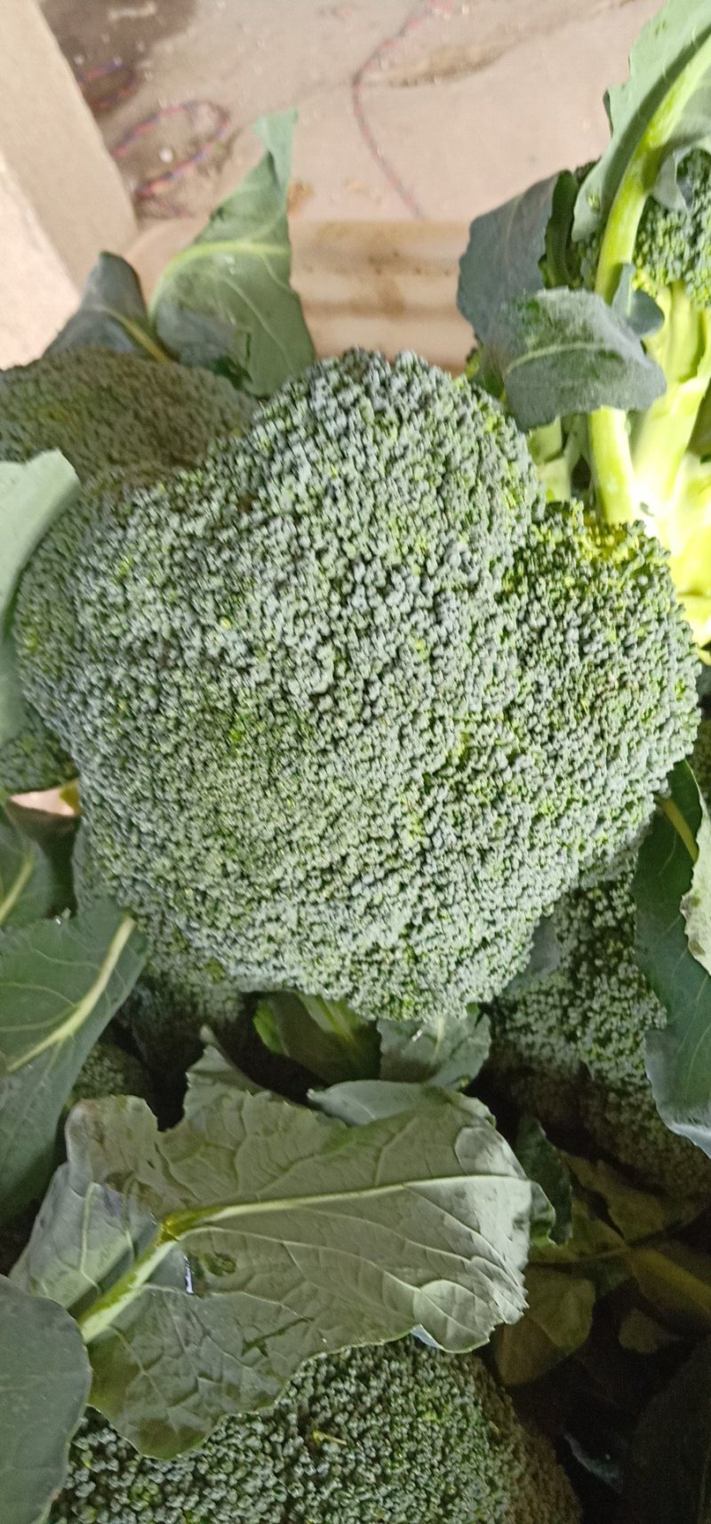 西兰花