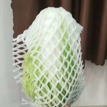 大白菜