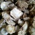 白芷中药材白芷白芷片香料调料
