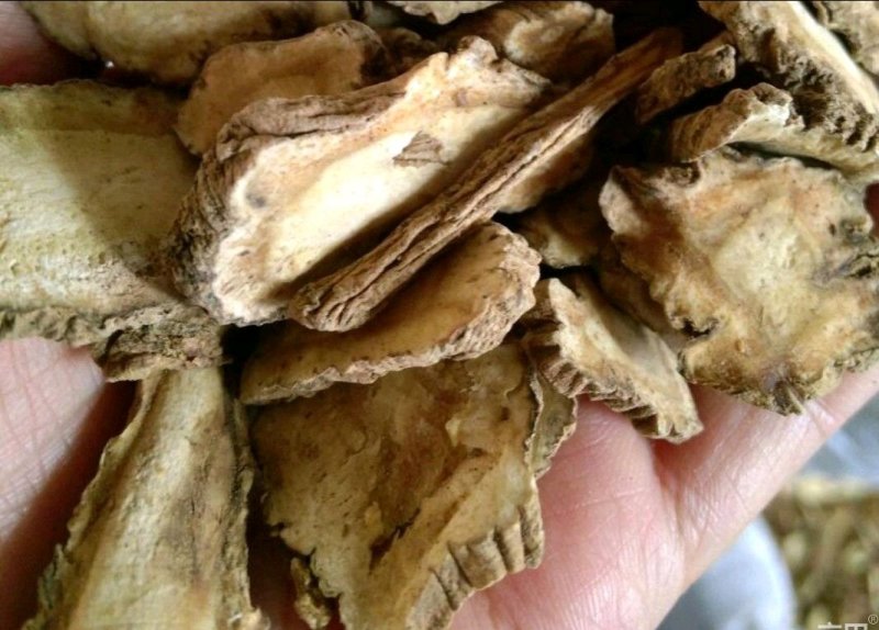 白芷中药材白芷白芷片香料调料