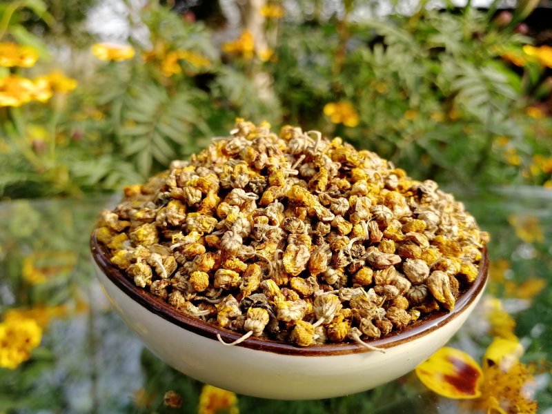 菊花茶小野菊花苦黄菊纯野生泡茶去火散装