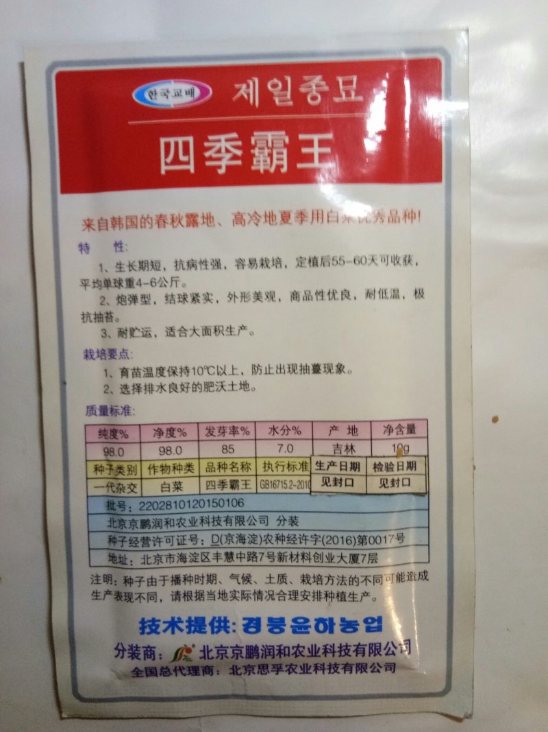 韩国进口白菜种子（四季霸王）