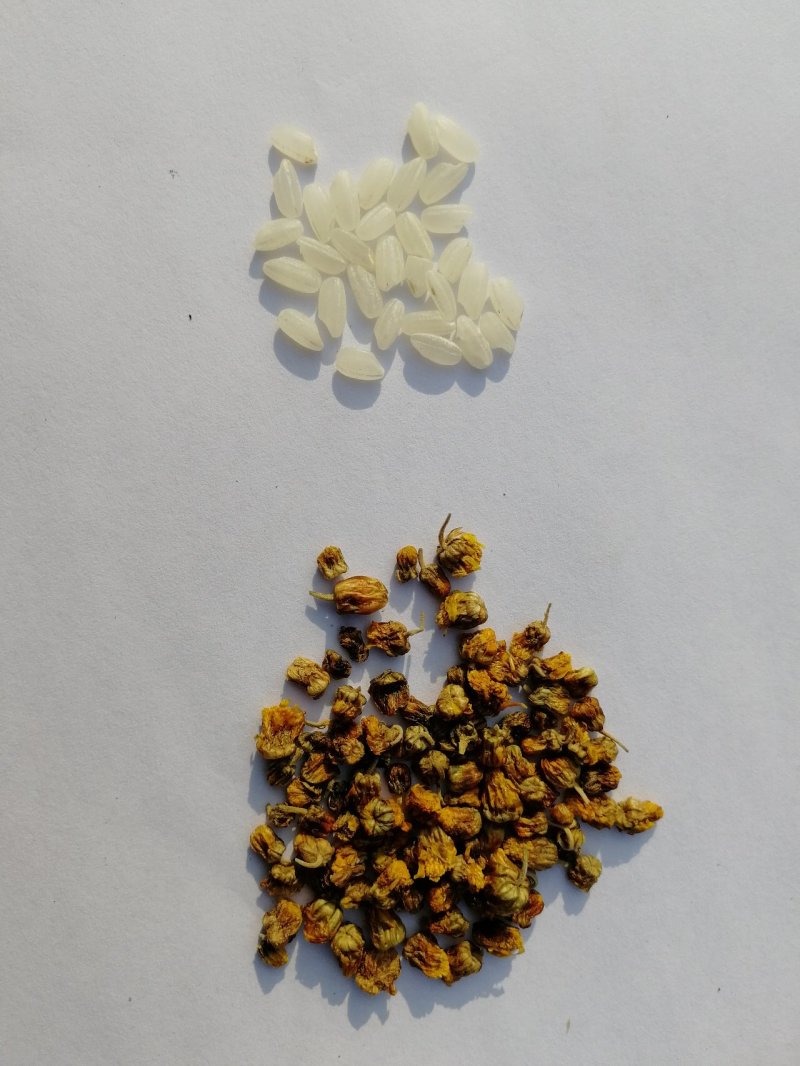 野菊花黄菊花茶纯野生小朵苦菊去火降火烘烤晒干散装