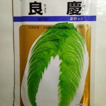 日本进口春白菜种子白菜种子春白菜种子