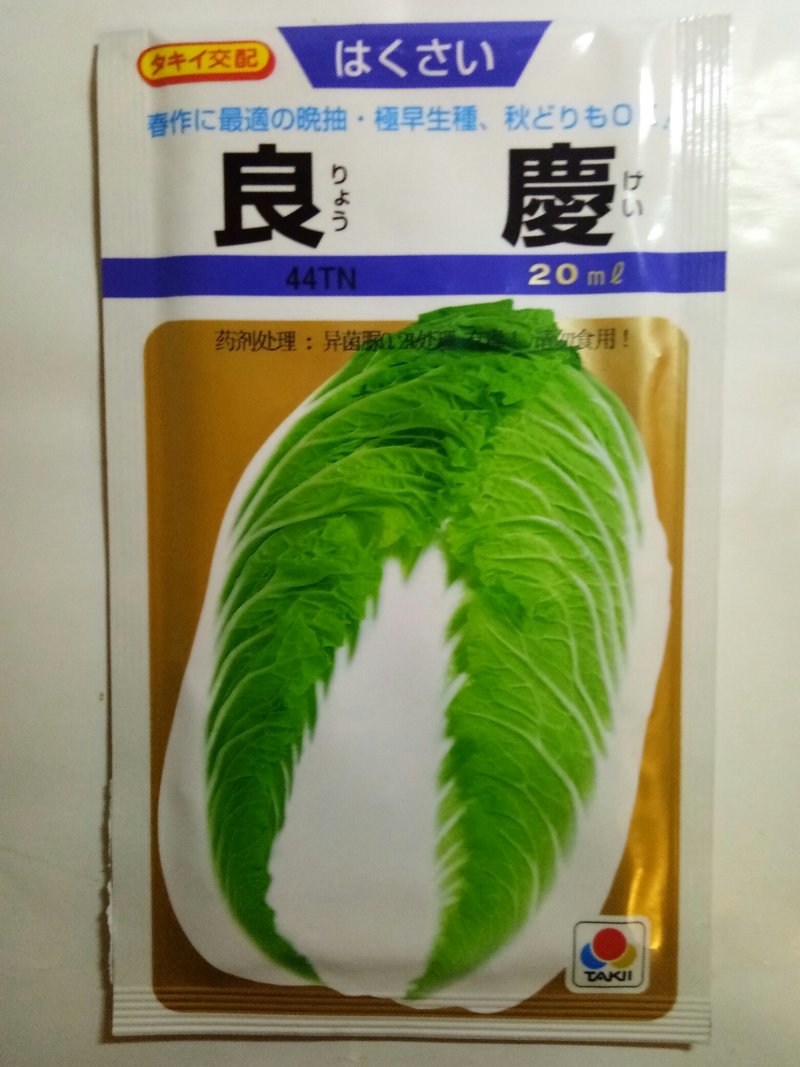 日本进口春白菜种子白菜种子春白菜种子