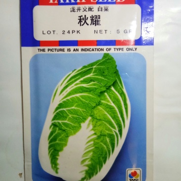 进口白菜种子（秋耀）