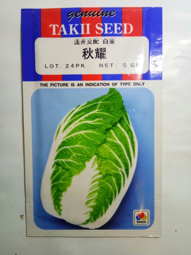 进口白菜种子（秋耀）