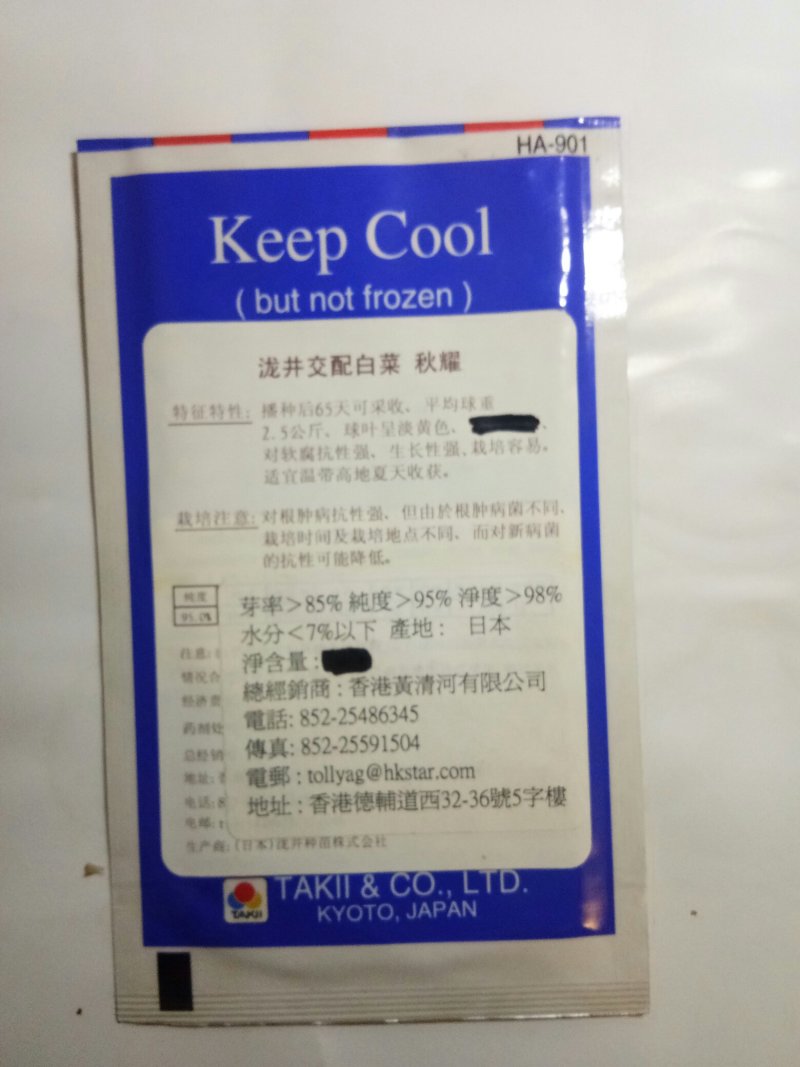 进口白菜种子（秋耀）