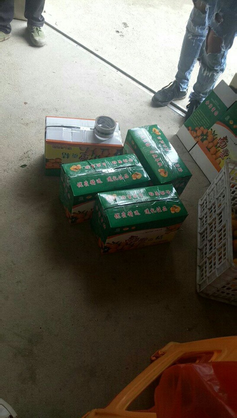 南丰贡橘