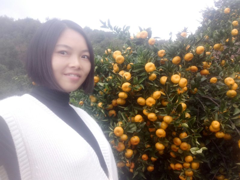南丰贡橘
