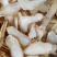 红白天麻片8-15个切片，来自云南昭通彩色自封袋包装包邮