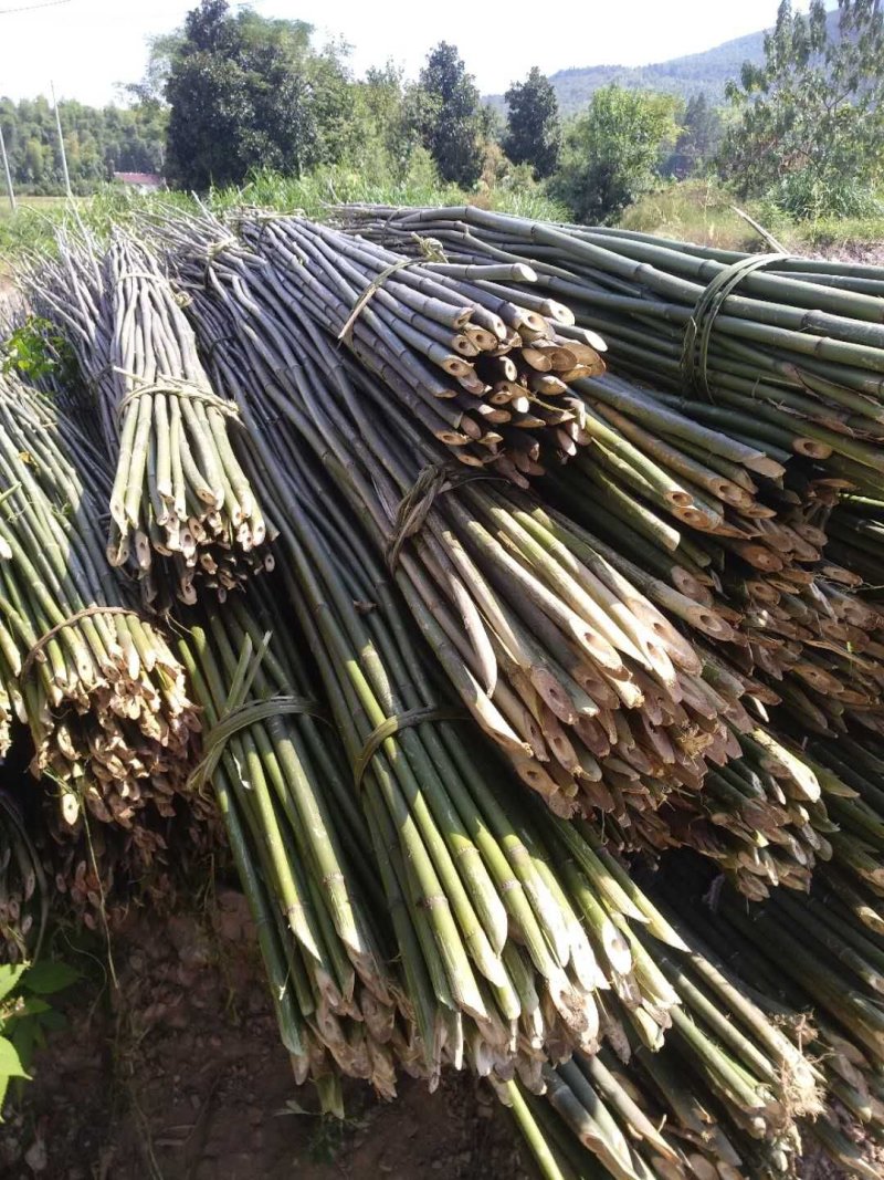 菜架竹大棚元竹