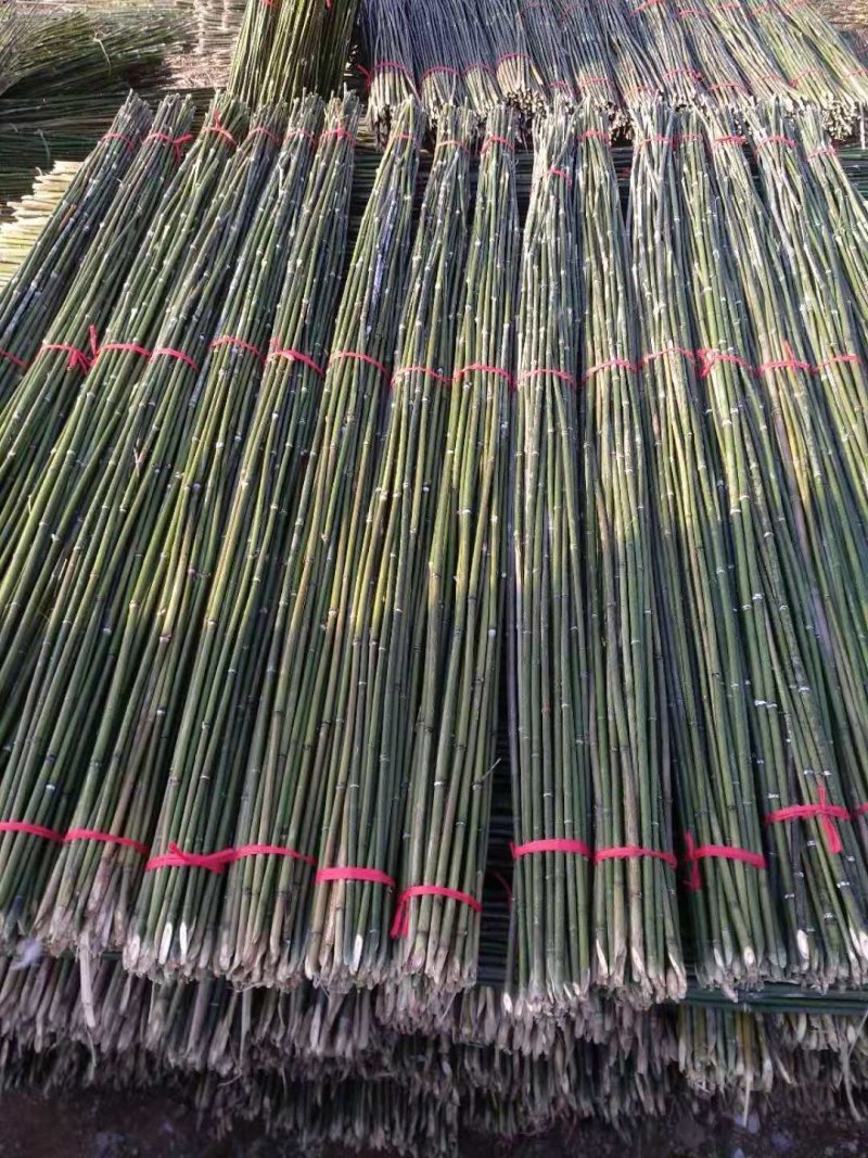 菜架竹大棚元竹