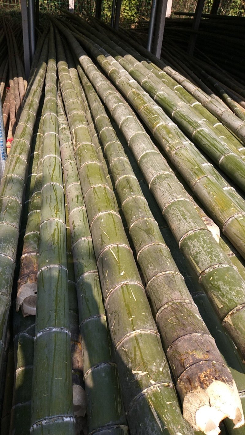 菜架竹大棚元竹