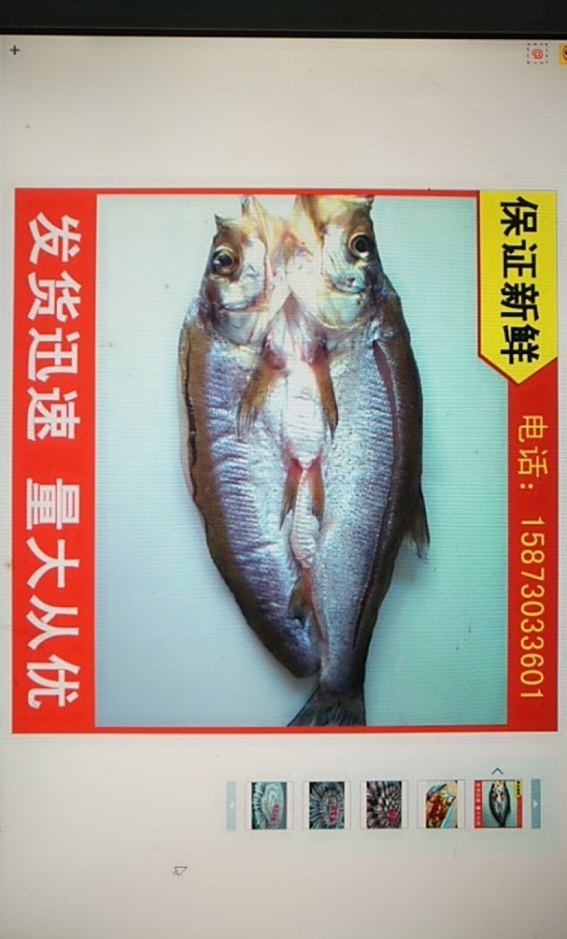六门闸阳干刁子鱼风干刁子鱼洞庭湖野生鱼阳光的味道