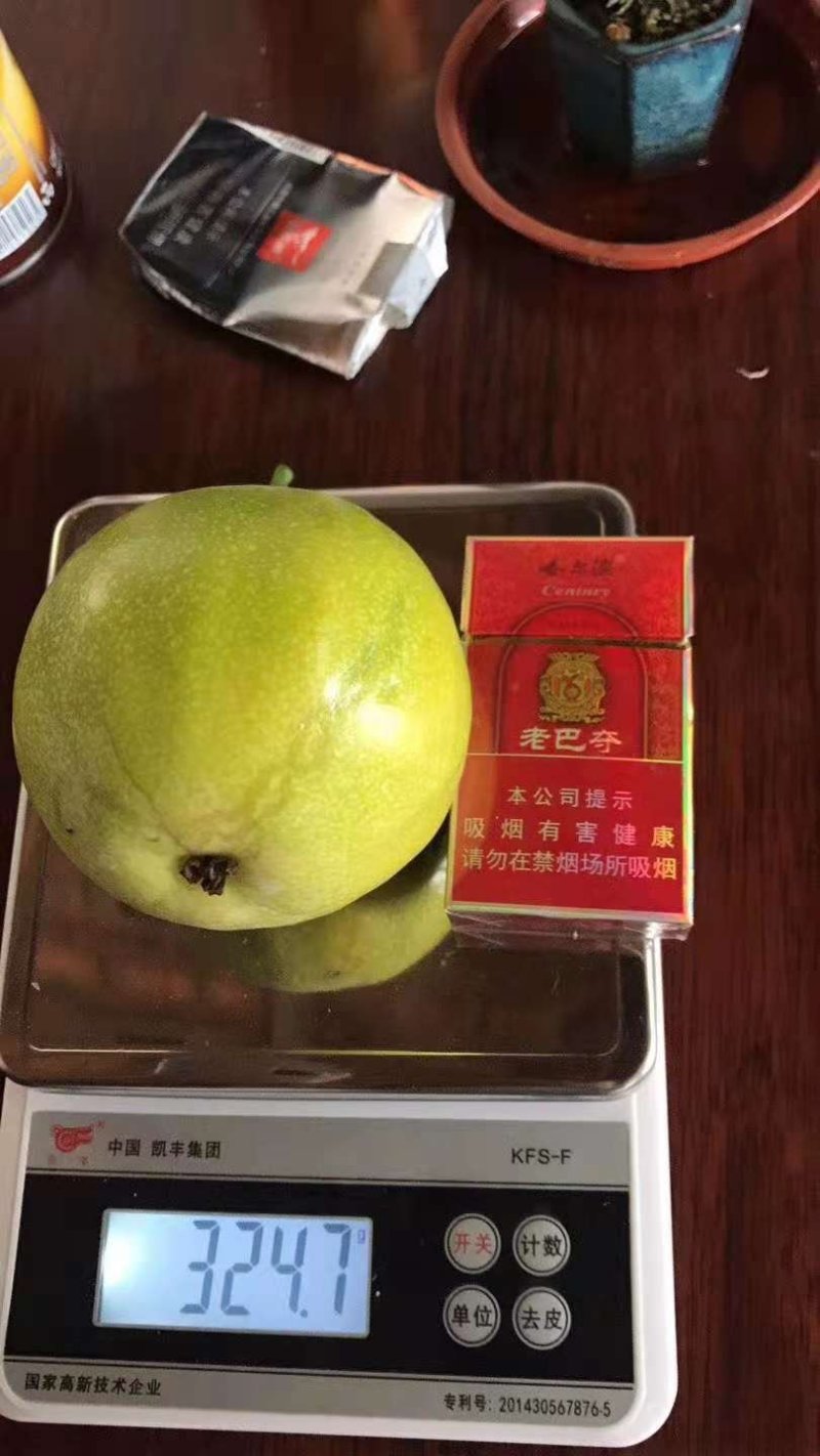 金霸百香果苗