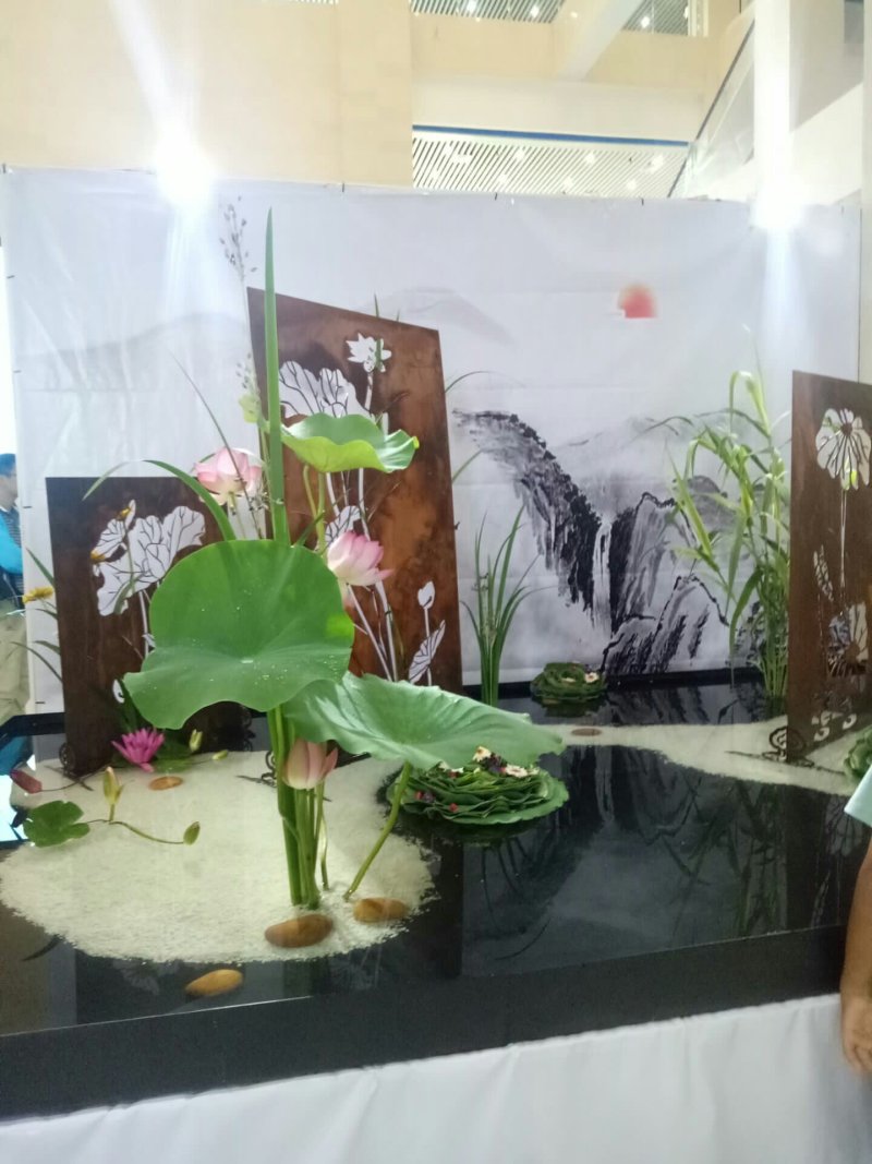 莲子种子，太空36号莲种，香水莲种子，帝王莲种子，芙蓉莲