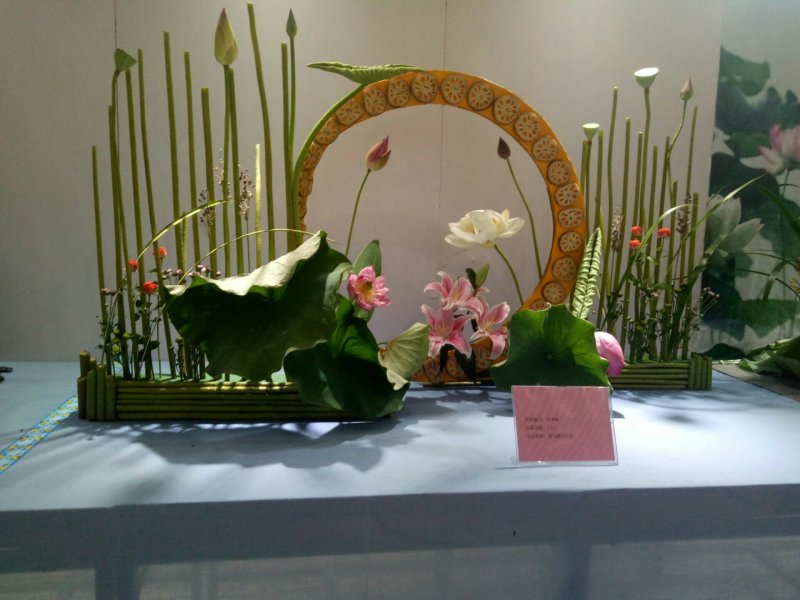 莲子种子，太空36号莲种，香水莲种子，帝王莲种子，芙蓉莲