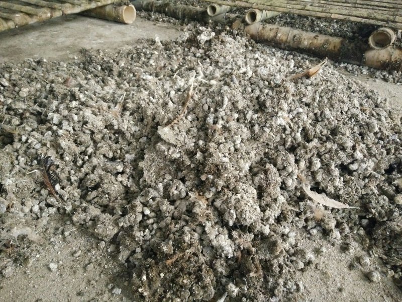 湖北蕲春，干鸡粪，肥料，袋装70-80斤一包
