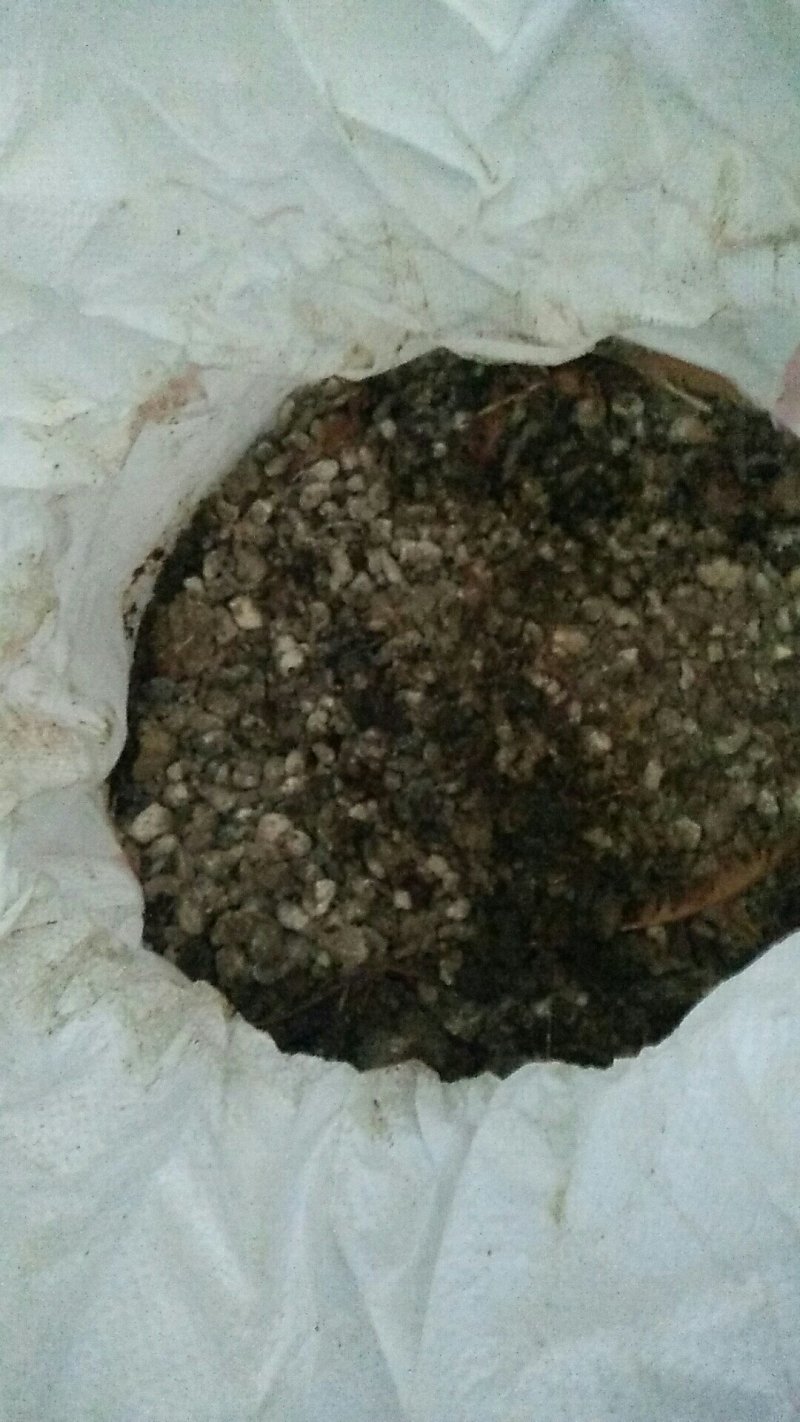 湖北蕲春，干鸡粪，肥料，袋装70-80斤一包