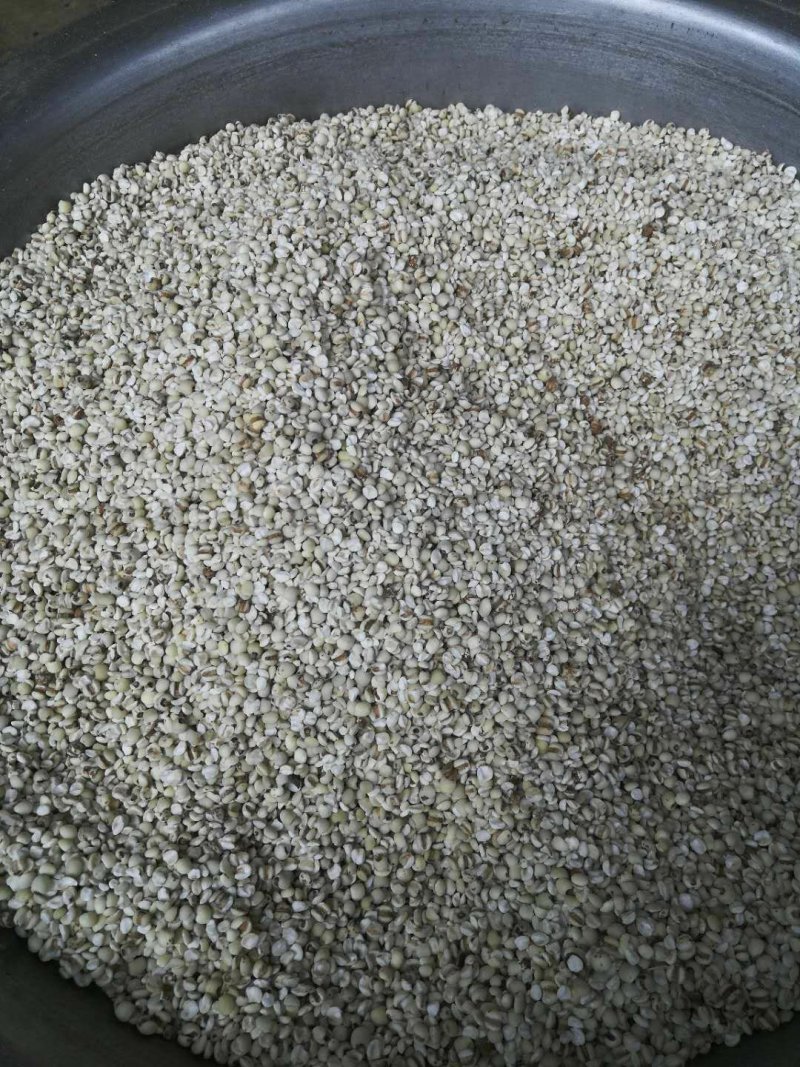 薏米小薏仁糯薏米