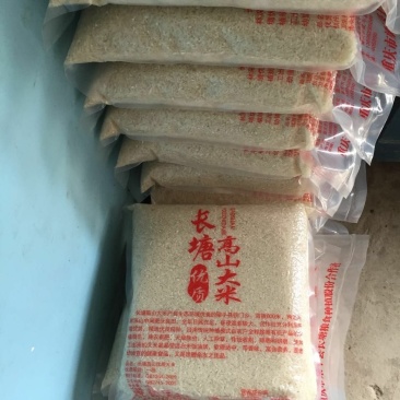 重庆本地专业合作社（农户+合作社）优质长香米。