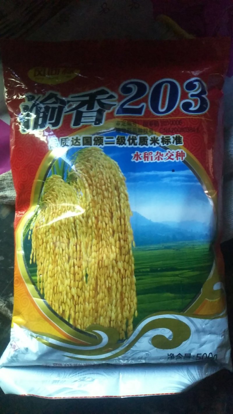 重庆本地专业合作社（农户+合作社）优质长香米。