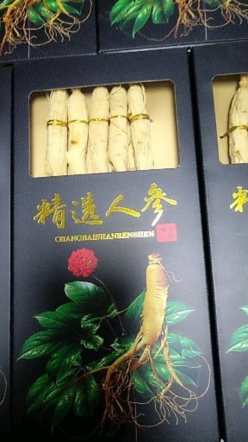 白参精品小黑盒东北吉林现货供应包邮