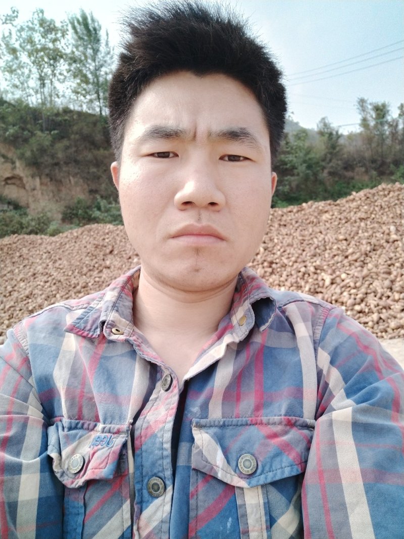 红薯淀粉